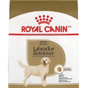 Royal Canin Labrador Adulto 12 KG