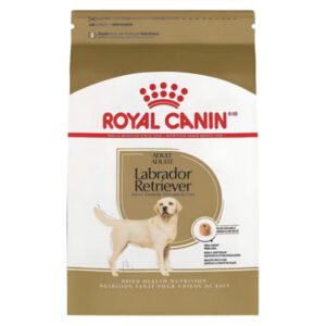 Royal Canin Labrador Adulto 12 KG
