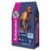 Eukanuba Senior Large 15 KG