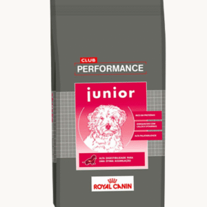 Performance Dog Junior 15 KG