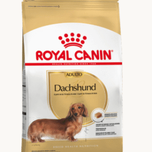 Royal Canin Dachshun Adulto 3 KG