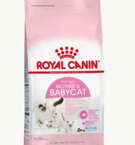 Royal Canin Mother & Babycat 1,5 KG