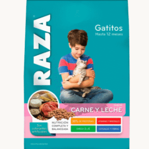 Raza Gato Kitten 8 KG