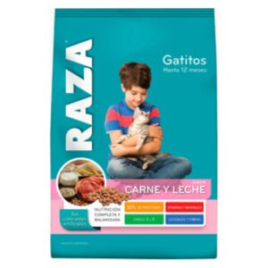Raza Gato Kitten 8 KG
