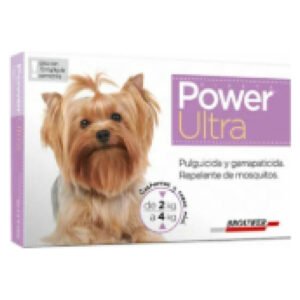 Power Pipeta Perro 2 a 4 kg