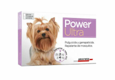 Power Pipeta Perro  2 a 4 kg