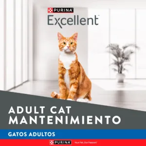 Excellent Gato Mantenimiento 2