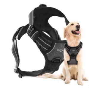 Pretal Conjunto Nº5