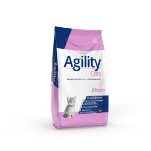 Agility Gato Kitten