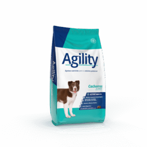 Agility Perro Cachorro