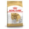Royal Canin Jack Russell Adulto 3 KG