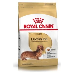 Royal Canin Dachshund Adulto 3 KG