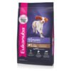 Eukanuba Puppy Medium Cordero 15 KG
