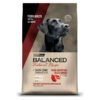 Vital Can Balanced Natural Recipe Carne Argentina 15 KG