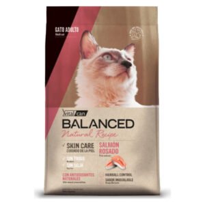 Vital Can Balanced Natural Recipe Gato Salmon 3 KG