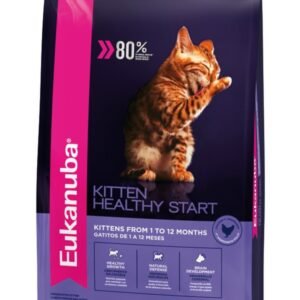 Eukanuba Gato Kitten