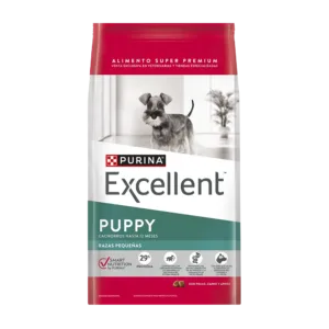 Excellent Puppy Razas Pequeñas