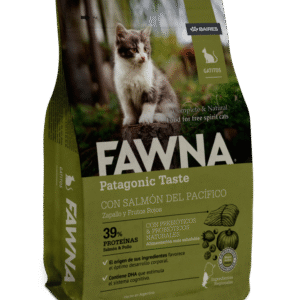 Fawna Gato Kitten