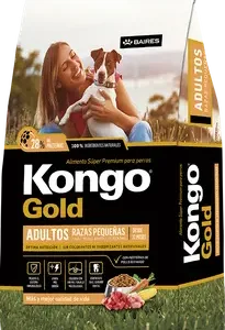 Kongo Adulto Razas Pequeñas Gold