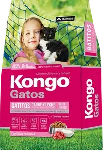 Kongo Gatos Kitten