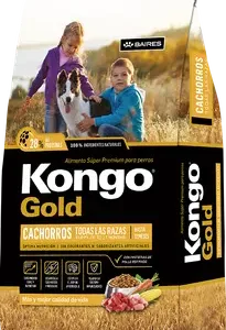 Kongo Puppy Gold