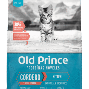 Old Prince Cordero Gato Kitten