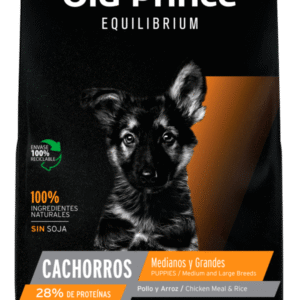 Old Prince Equilibrium Puppy Medianos y Grandes