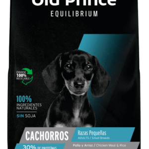 Old Prince Equilibrium Puppy Razas Pequeñas