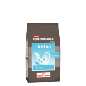 Performance Kitten