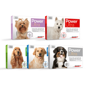 Power Pipeta Perro 2 a