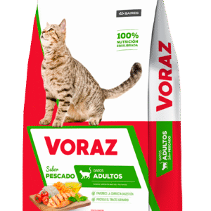 Voraz Gato Adulto