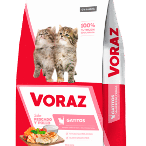 Voraz Gato Kitten
