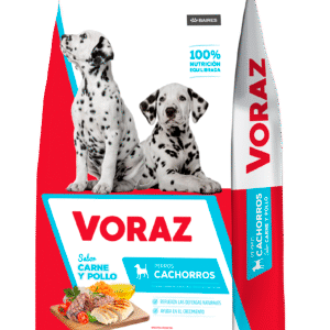 Voraz Perro Puppy