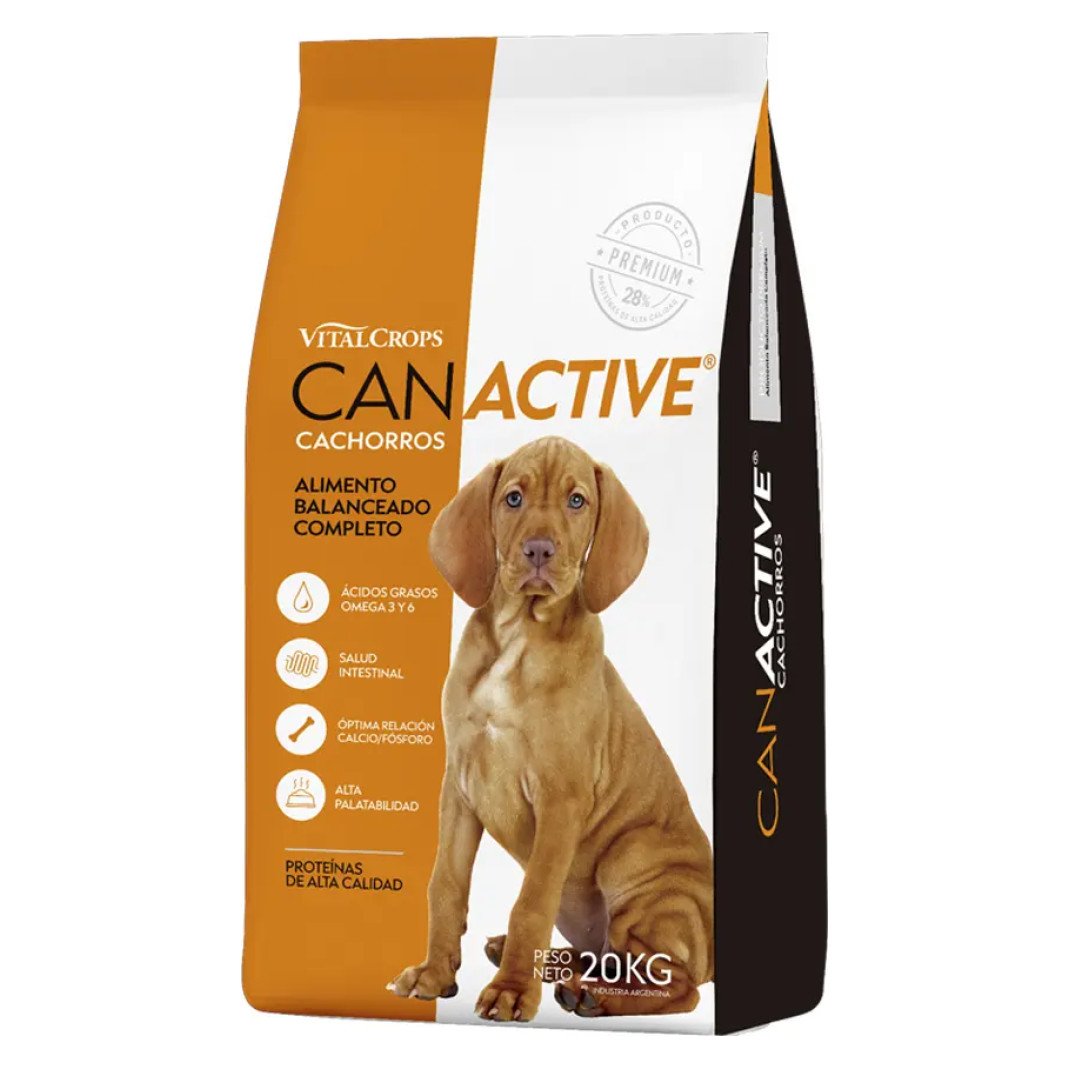 D_NQ_NP_2X_754896-MLA99818628783_112025-F Can Active Cachorro 20 KG