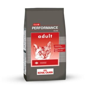 Performance Gato Adulto