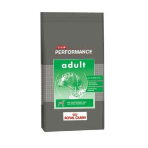 Performance Perro Adulto