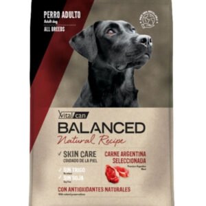 Vital Can Balanced Natural Recipe Carne Argentina