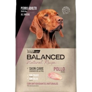 Vital Can Balanced Natural Recipe Pollo