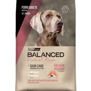 Vital Can Balanced Natural Recipe Salmon Rosado